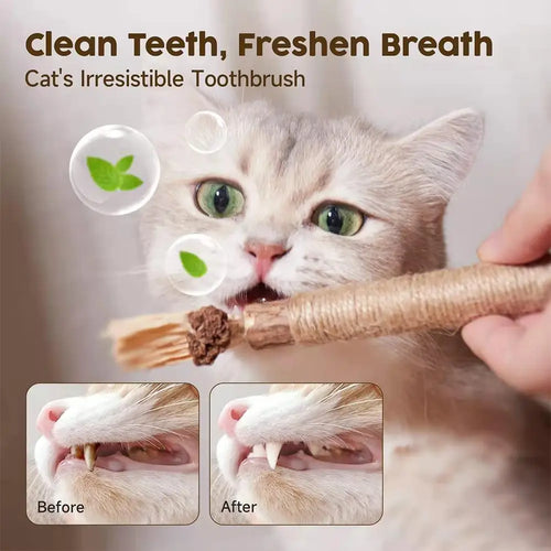 1pc Cat Toys Chew Stick Pet Snacks Sticks Natural Stuff with Catnip for Kitten Catnip Teasing Chew Toys Clean Teeth