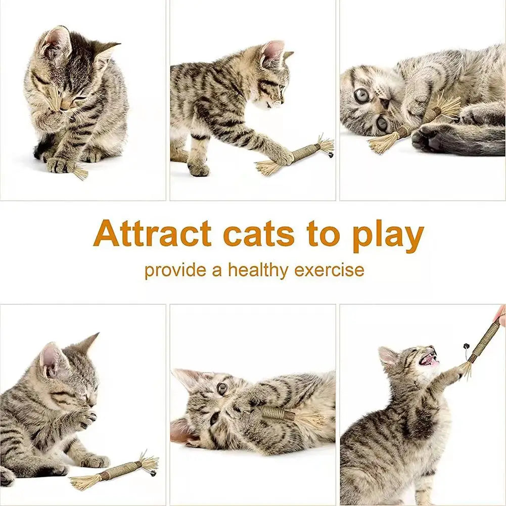 1pc Cat Toys Chew Stick Pet Snacks Sticks Natural Stuff with Catnip for Kitten Catnip Teasing Chew Toys Clean Teeth