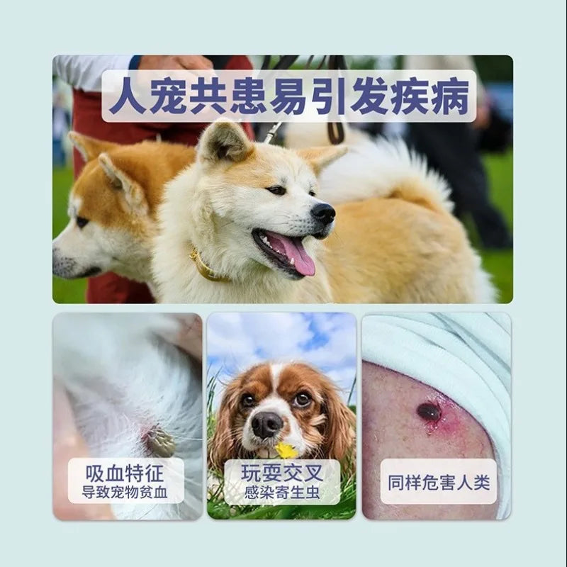 Pet Flea Collar Natural Anti-Flea & Tick Pendant Oils for Dogs & Cats Collar Pet Supplies with Essential Oils to Repel Pests