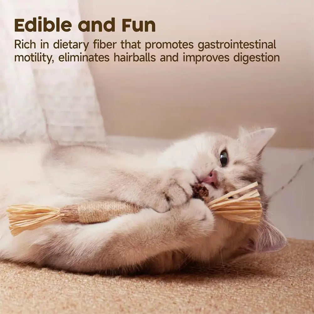 1pc Cat Toys Chew Stick Pet Snacks Sticks Natural Stuff with Catnip for Kitten Catnip Teasing Chew Toys Clean Teeth